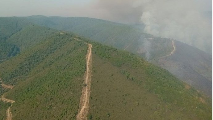 El incendio de Paradiña (León) baja a gravedad 1 tras dos días activo y cuenta con una veintena de medios