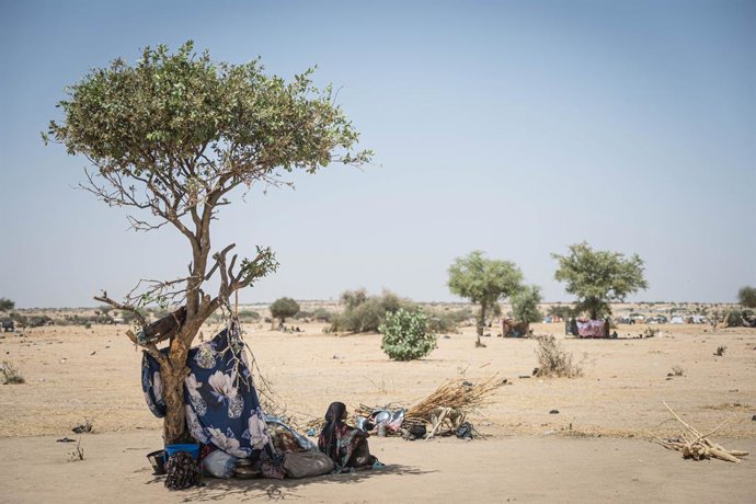 Archivo - TINE, June 28, 2025  -- A Sudanese refugee rests in front of a makeshift tent on the outskirts of the city after entering the eastern Chadian city of Tine from North Darfur, Sudan, on June 26, 2025. According to the United Nations, one in three 