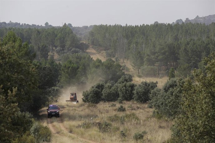 Agentes de la UME crean un cortafuegos, a 12 de agosto de 2025, en León, Castilla y León (España). 
