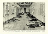Foto: El secreto genético de la peste negra: matar lento fue la estrategia para sobrevivir siglos