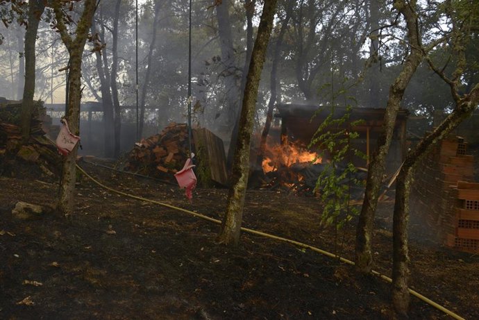 Jardín privado quemado durante el incendio, a 12 de agosto de 2025, en Seixalbo, Ourense, Galicia (España).