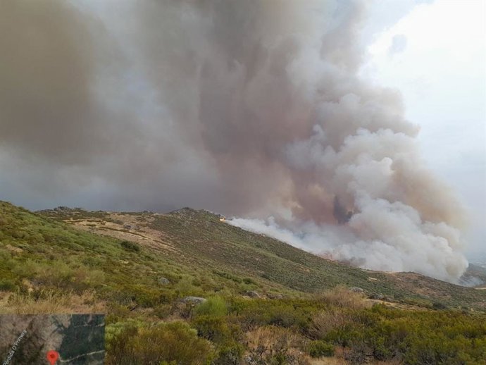 Incendio forestal en Jarilla.