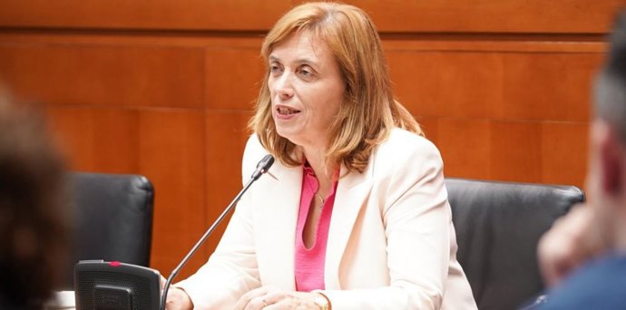 Archivo - La directora general de Salud Pública del Gobierno de Aragón, Nuria Gayán
