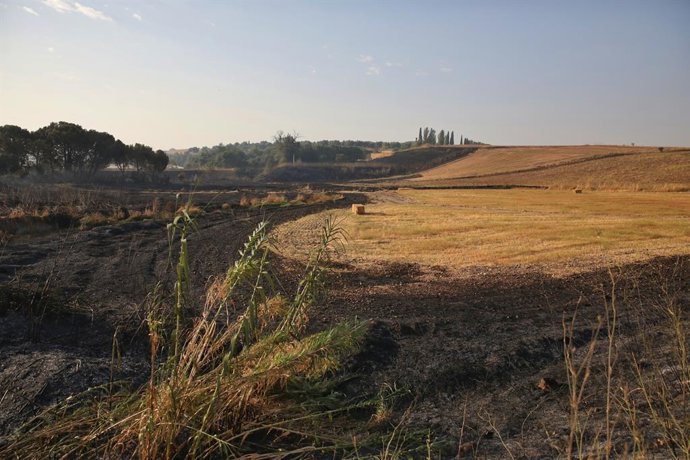 Área queimada pelo incêndio em Calera y Chozas, 13 de agosto de 2025, em Calera y Chozas, Toledo, Castilla-La Mancha (Espanha). O incêndio que começou na tarde desta terça-feira em Alberche del Caudillo e que, devido ao vento, mudou o foco para C
