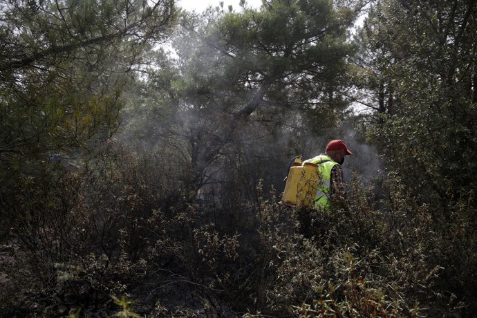 Voluntarios ayudan a refrescar el campo quemado, a 12 de agosto de 2025, en León, Castilla y León (España). Unos 1.