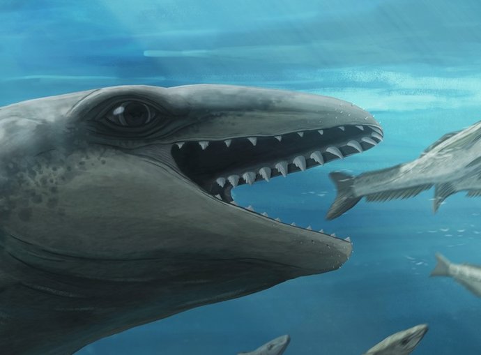 Janjucetus dullardi