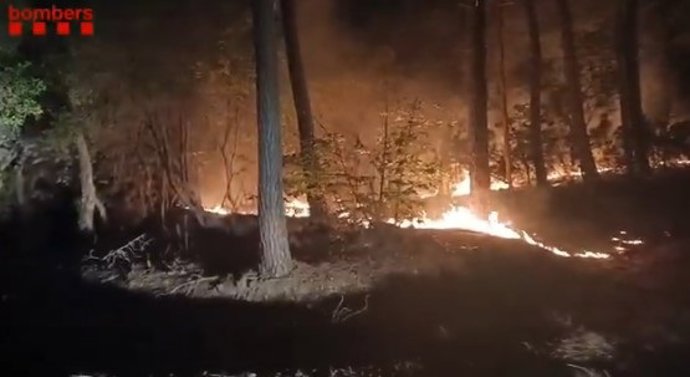 Imagen del fuego entre Amer y Susqueda (Girona)