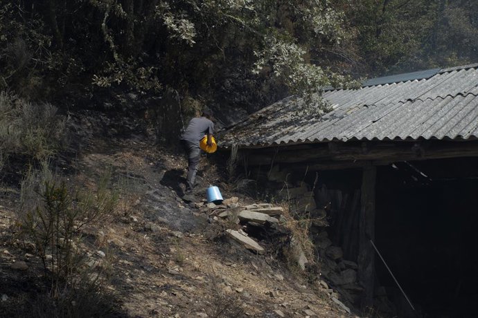 Fazendeiro proprietário de mais de cem vacas em Teixeira, tenta apagar o fogo em um dos abrigos de animais, em 10 de agosto de 2025, em Maceda, Ourense, Galícia (Espanha). Um incêndio em Maceda (Ourense), freguesia de Castro de Escuadro, ca.