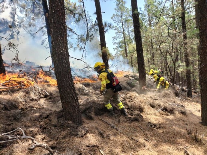 Archivo - Agentes forestales en labores de extinción del incendio de Tenerife