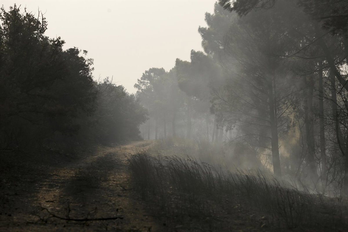 El fuego asola España: dos fallecidos, una veintena de heridos y miles de evacuados y hectáreas quemadas