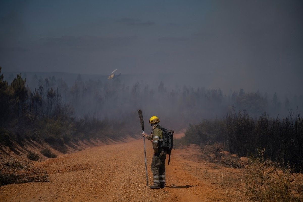 Greenpeace defiende que con 1.000 millones al año en prevención de incendios podrían ahorrarse 99.000 en extinción