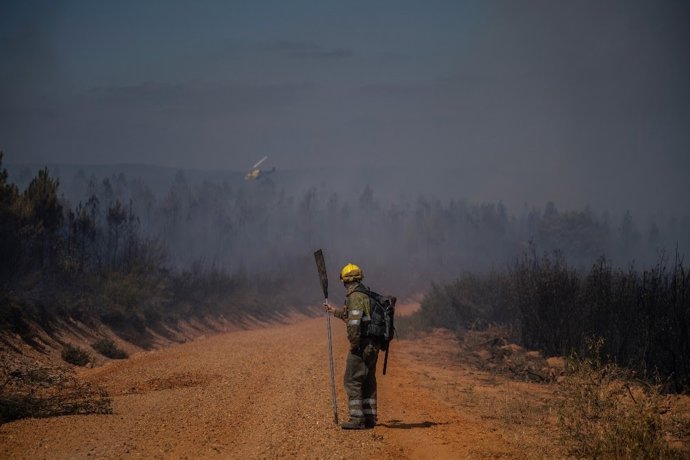 Greenpeace defiende que con 1.000 millones al año en prevención de incendios podrían ahorrarse 99.000 en extinción.