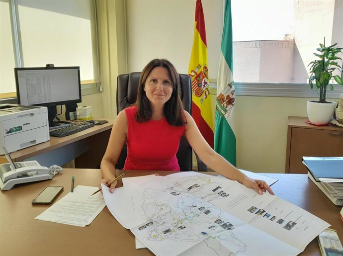 Archivo - La delegada territorial de Fomento, Articulación del Territorio y Vivienda de la Junta de Andalucía en Almería, Dolores Martínez.