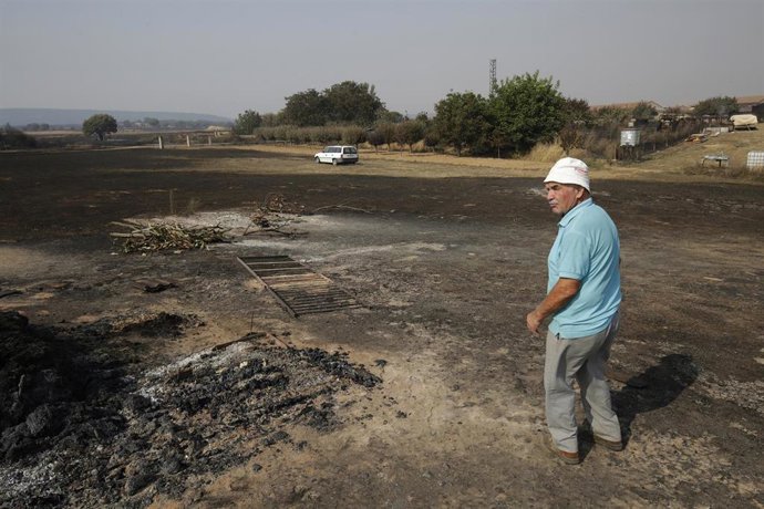 Una persona en la tierra quemada, a 13 de agosto de 2025, en Herreros de Jamuz, León, Castilla y León (España).