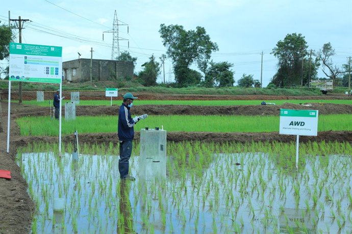 Scientific measurement of GHG emissions in a rice field by The Good Rice Alliance