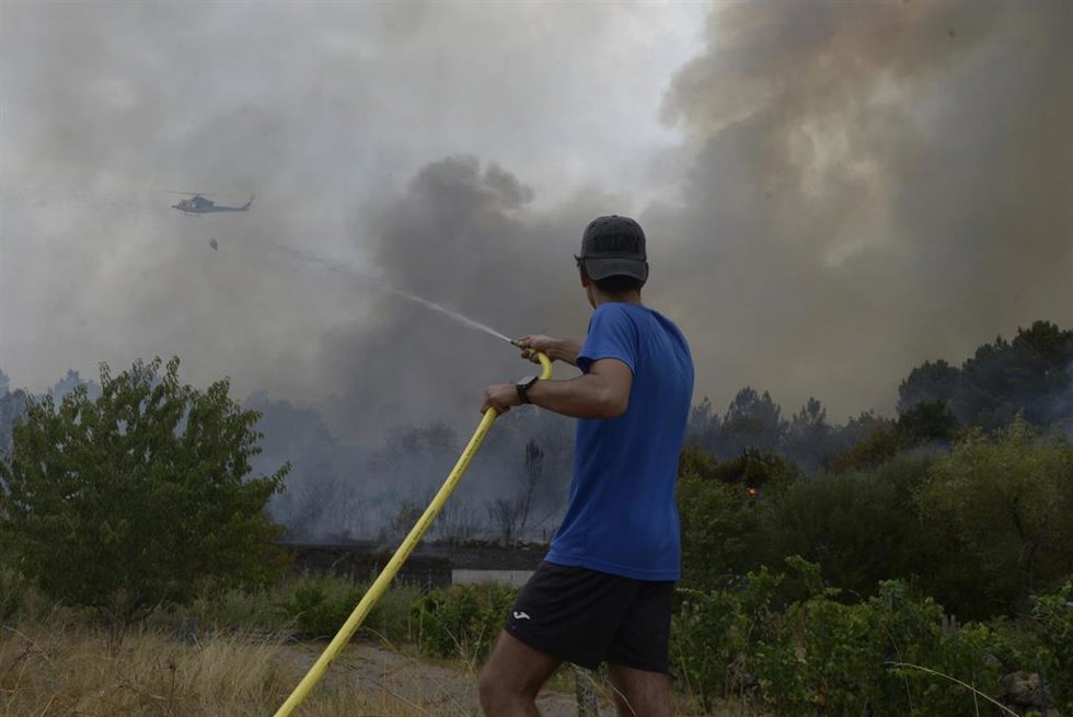 Extinción del incendio declarado a partir de la vía del tren en Seixalbo, en un terreno en el que ardieron varias colmenas