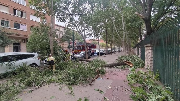 Los Bomberos de Valladolid realizan 23 intervenciones en las últimas horas por caídas de objetos y ramas