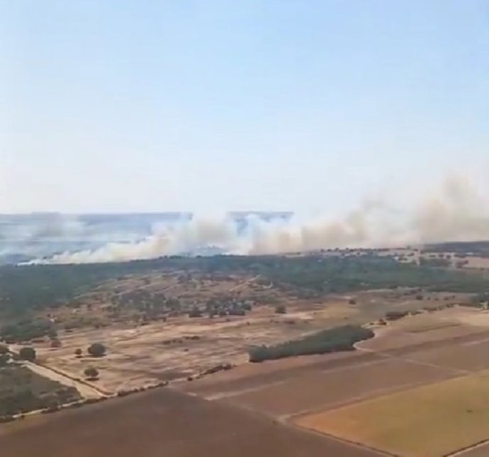 Vista aérea del incendio declarado en la zona rural de Jerez.