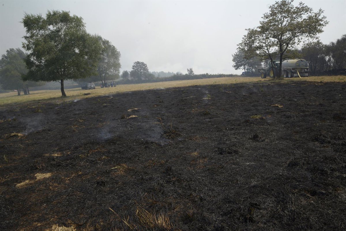 Ascienden a 13.800 las hectáreas calcinadas por la oleada de incendios que asola Galicia