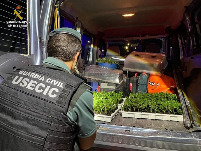 .- Dos Detenidos En Pozo De Guadalajara Cuando Portaban 400 Plantas De Marihuana En El Coche En El Que Viajaban.