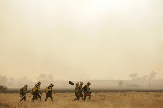 Varios bomberos tratan de extinguir un fuego, a 13 de agosto de 2025, en Miñambres de la Valduerna, León, Castilla y León (España). Un total de 7.859 personas, de 34 localidades leonesas, han sido evacuadas debido al avance del incendio forestal de Molezu