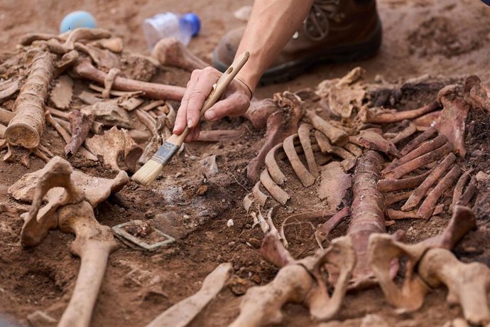 Archivo - Excavación de una fosa con restos óseos en Catalunya