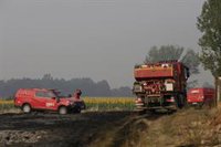 La UME tiene a "más de 1.100" militares ayudando en las labores de extinción de diez incendios en España