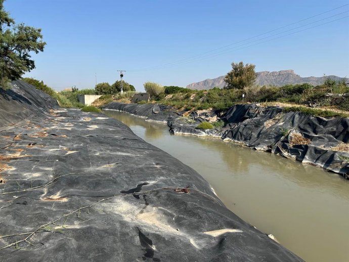 Trabajos de restauración en el río Segura