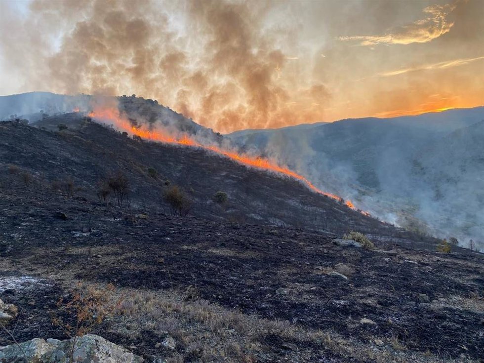 Incendio forestal en la zona de Valdeperillo (La Riioja)