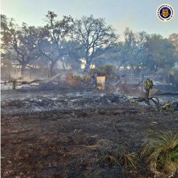 Superficie quemada por el incendio de pastos en la zona rural de Jerez de la Frontera (Cádiz)