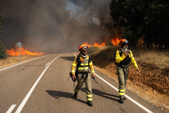 Bomberos trabajan para extinguir el incendio, a 10 de agosto de 2025, en Molezuelas de la Carballeda, Zamora (España).