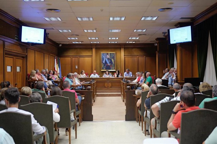 Reunión de la Diputación de Almería con alcaldes de la provincia para abordar la convocatoria de Empleo Estable 2025 del PFEA.