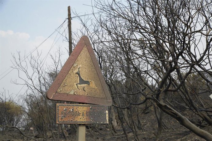Una señal quemada, a 13 de agosto de 2025, en Chandrexa de Queixa, Ourense, Galicia (España). 