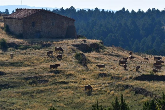 Maestrazgo turolense.