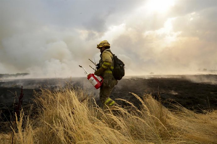 Un bombero trata de extinguir un incendio, a 13 de agosto de 2025, en Miñambres de la Valduerna, León, Castilla y León (España). Un total de 7.859 personas, de 34 localidades leonesas, han sido evacuadas debido al avance del incendio forestal de Molezuela