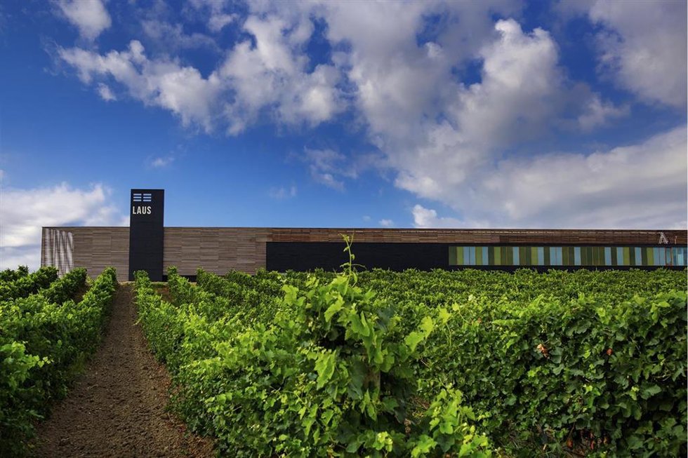 Bodegas Laus.