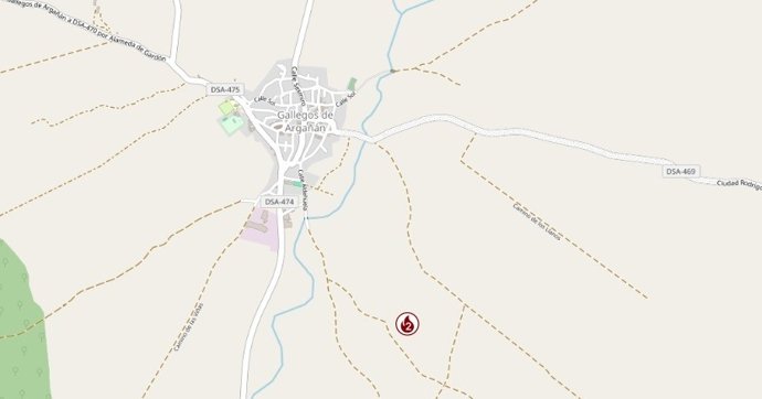 Gravedad 2 en un incendio en Gallegos de Argañán (Salamanca) que supone una "amenaza seria" a poblaciones