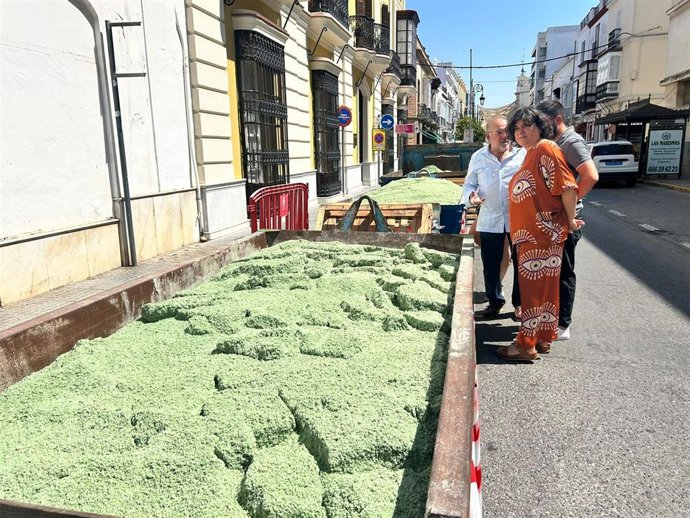 La alcaldesa de Sanlúcar, Carmen Álvarez, supervisa la sal que se emplearán para las alfombras de sal por las fiestas patronales.