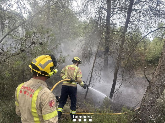 Efectivos de Bombers de la Generalitat trabajan en la extinción de un incendio forestal en Les Piles (Tarragona)