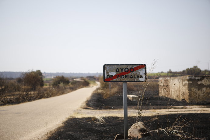 Vista tras el paso del fuego, a 14 de agosto de 2025, en Ayoo, Zamora, Castilla y León (España).