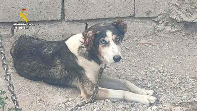 Vídeo de la noticia