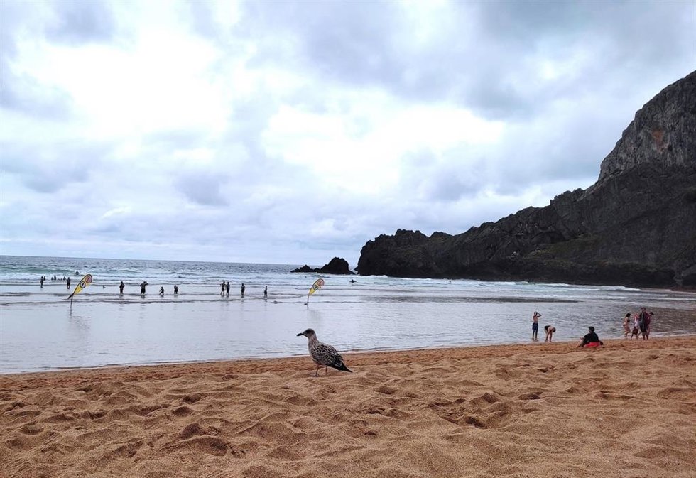 Archivo - Playa de Laga (Bizkaia).
