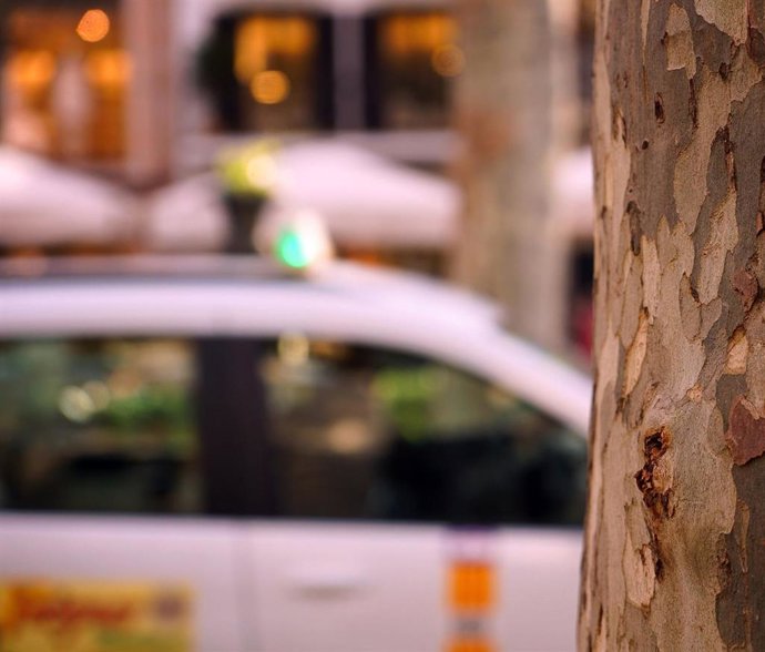 El servicio conjunto de taxi en la bahía de Palma y la Serra llega ya a ocho municipios.