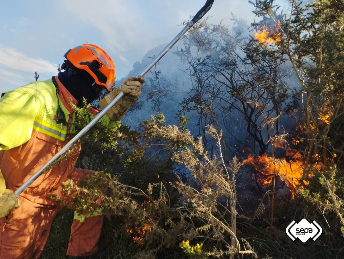 Incendios en Asturias: cuatro activos y cuatro controlados en la mañana de este viernes