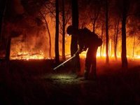 Ecologistas piden condiciones dignas para bomberos y una gestión del bosque con un mundo rural "vivo"