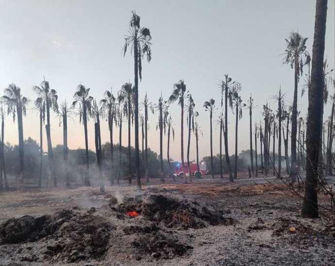 Zona afectada por el incendio.