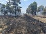 Estabilizado un incendio de vegetación próximo a una zona comercial de Pozuelo sin tener que registrar heridos