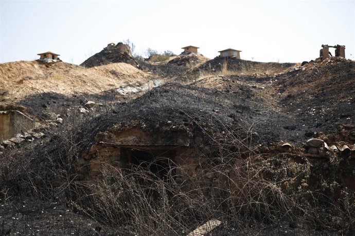 Vista tras el paso del fuego, a 14 de agosto de 2025, en Cubo de Benavente, Zamora, Castilla y León (España). 