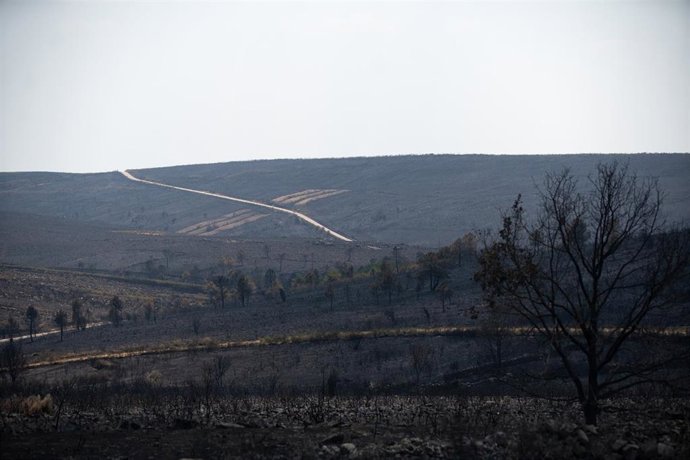 Zona calcinada por el incendio forestal que se originó en Puercas de Aliste