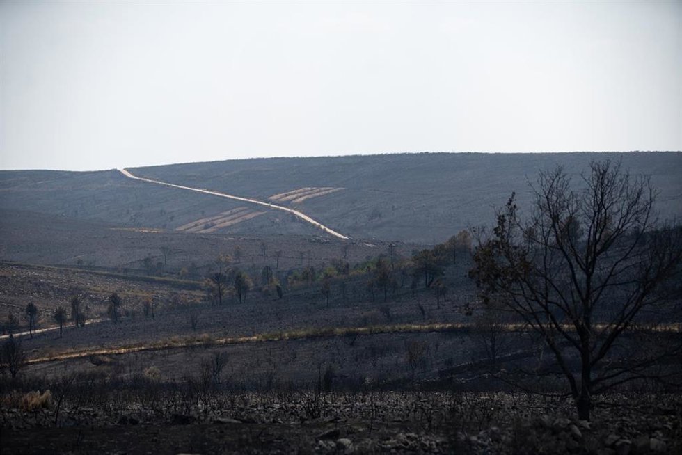 Zona calcinada por el incendio forestal que se originó en Puercas de Aliste